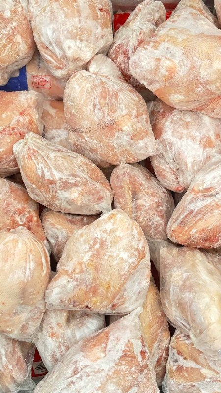 Ayam Beku Tanpa Hormon dan Antibiotik: Tren Baru HORECA Jakarta yang Perlu Anda Tahu